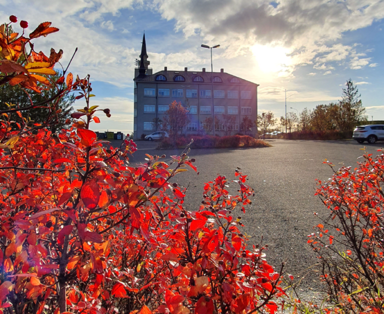 Haustmynd -Sjómannaskólahúsið Háteigsvegi.